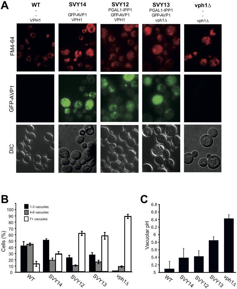 Figure 7