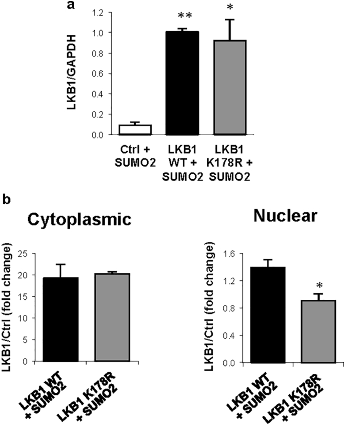 Supplemental Fig. 5