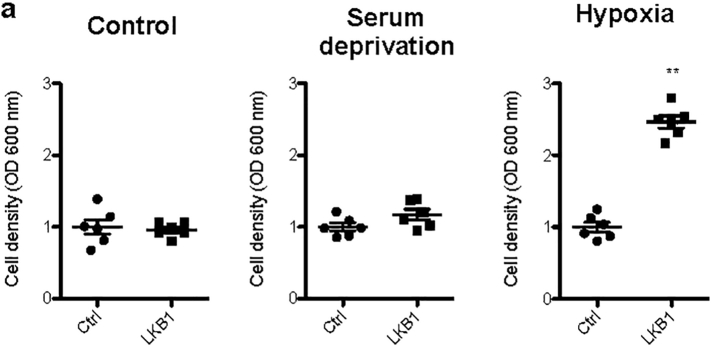 Supplemental Fig. 2