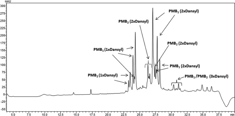 FIG 1