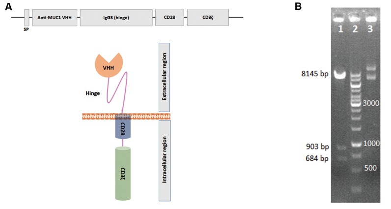 Fig.1