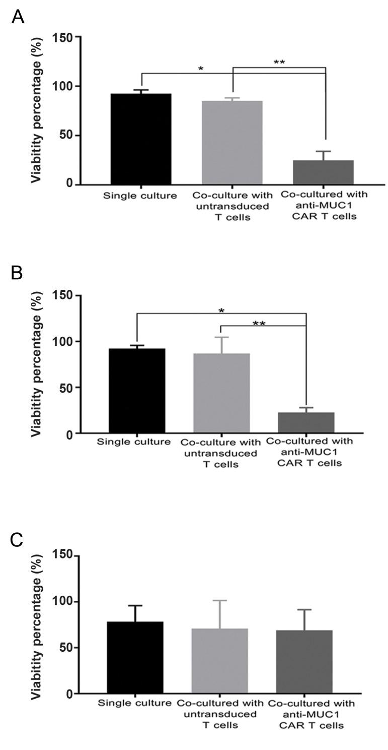 Fig.6