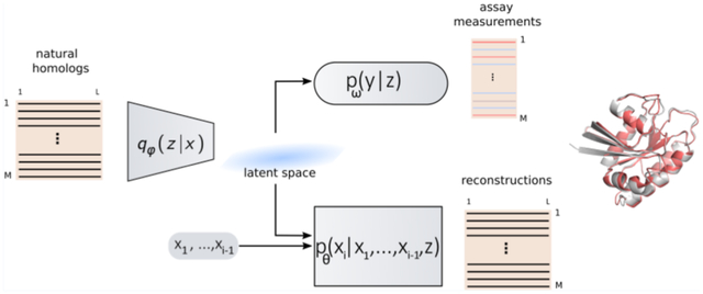 graphic file with name nihms-1966774-f0001.jpg