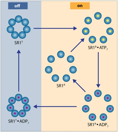 Fig. 4.