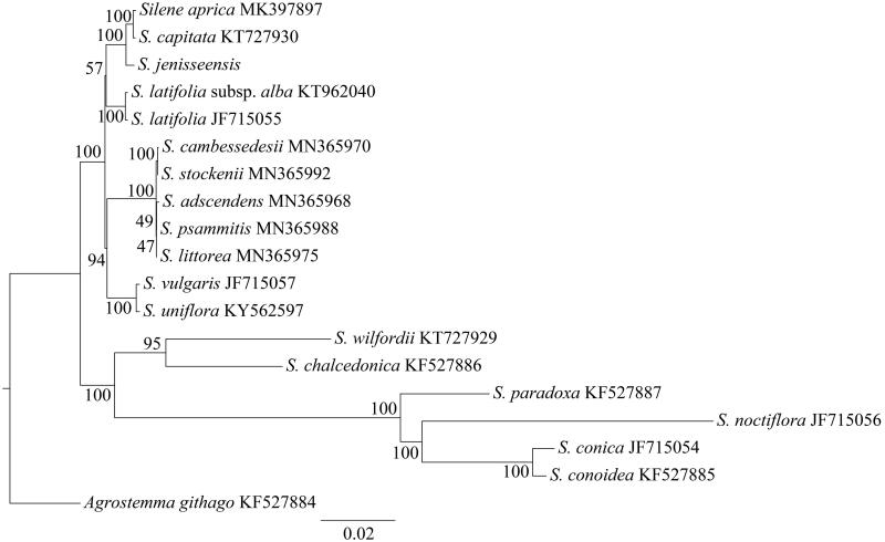 Figure 1.