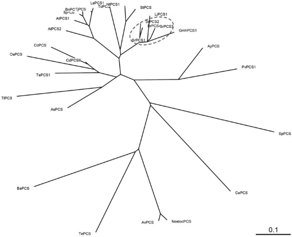 Figure 2.