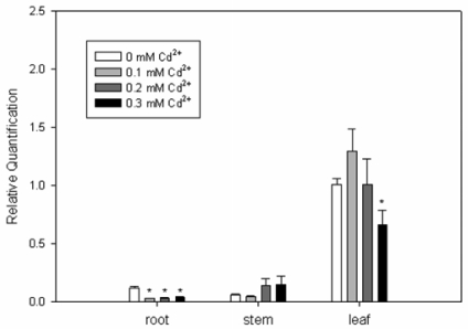 Figure 5.