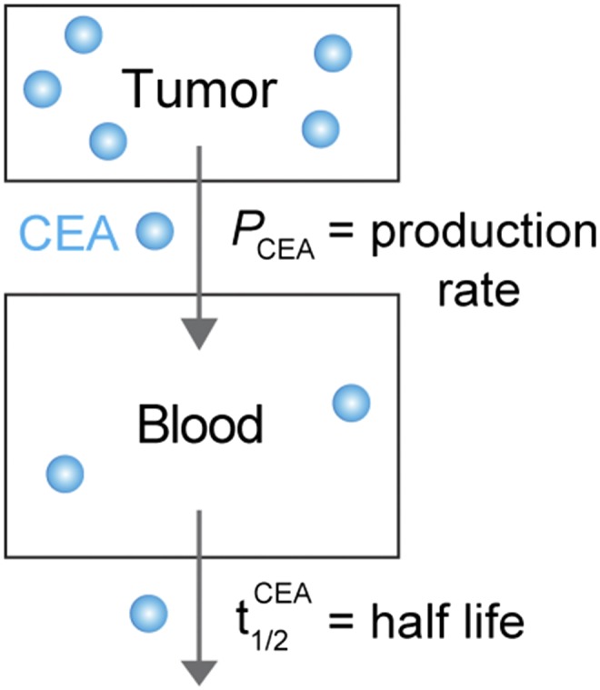 Scheme S2.