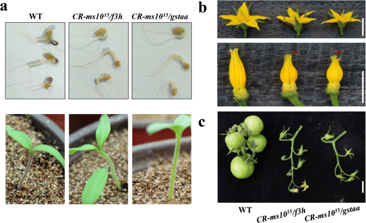 Fig. 4