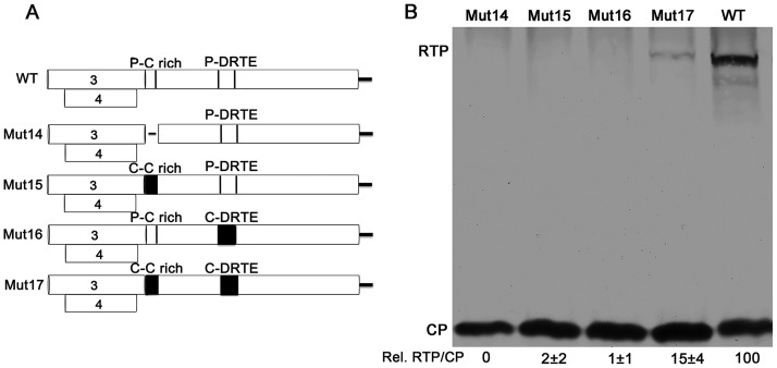 FIG 6