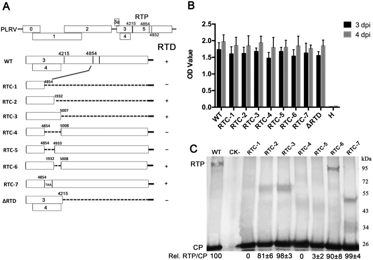 FIG 2