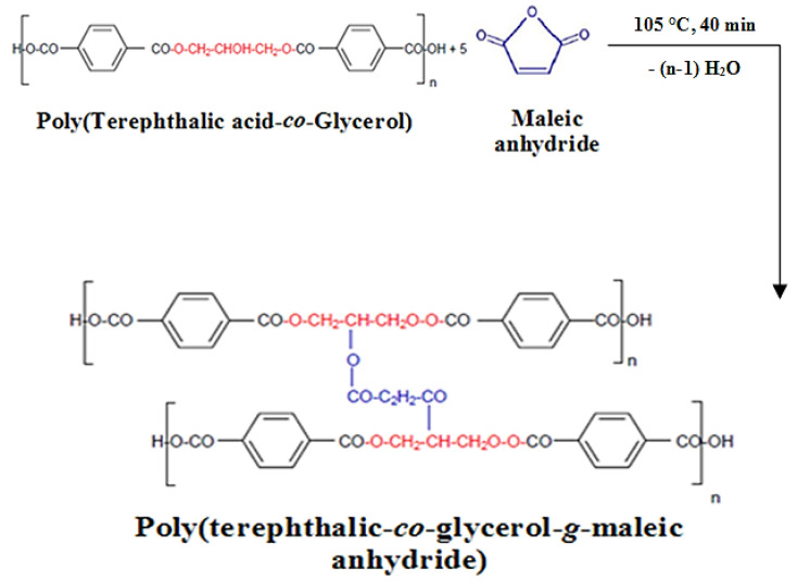 Scheme 2