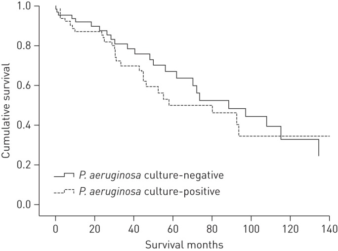 Figure 1–