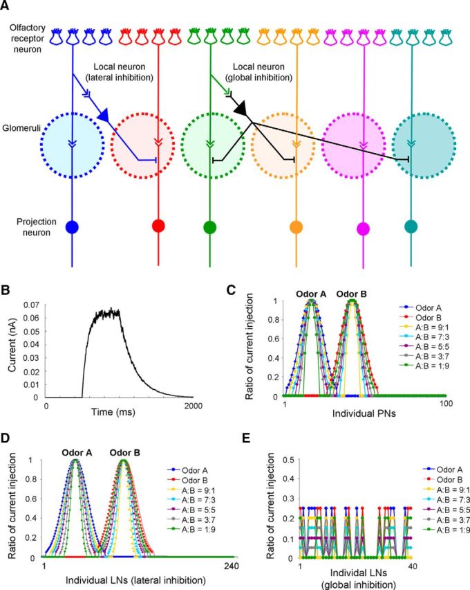 Figure 4.