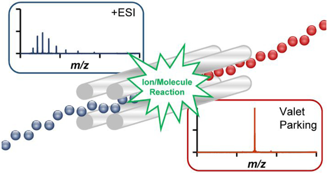 graphic file with name nihms-1570159-f0001.jpg