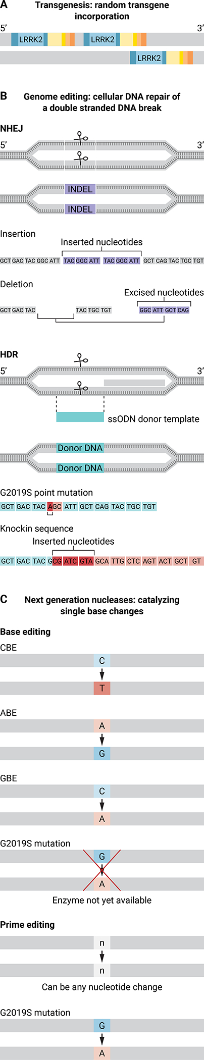 Figure 2.