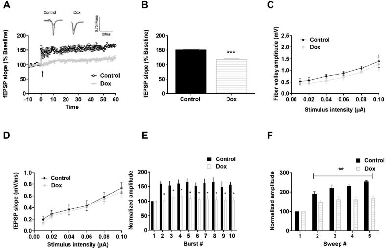 Figure 3