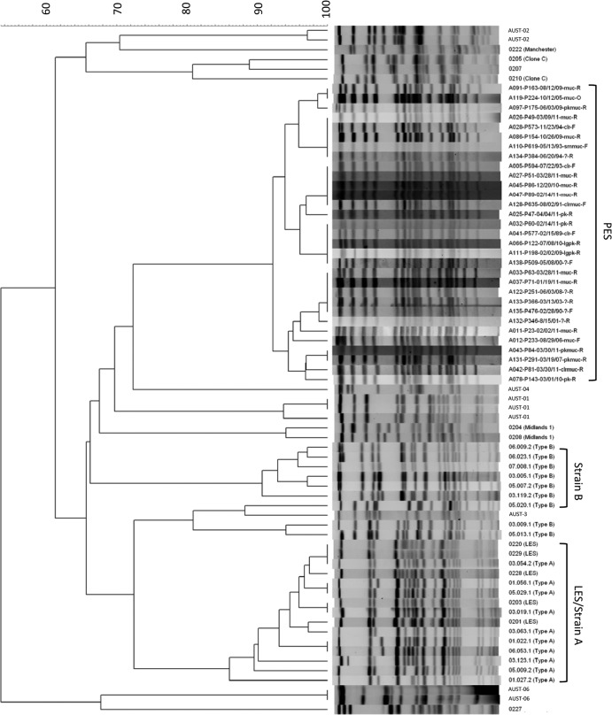 FIG 2