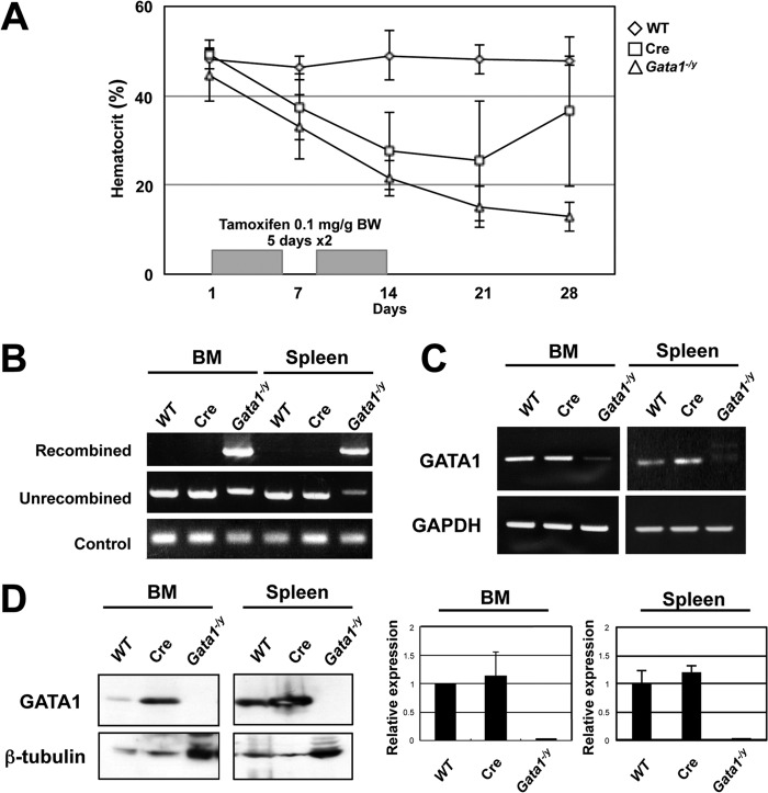 FIG 1