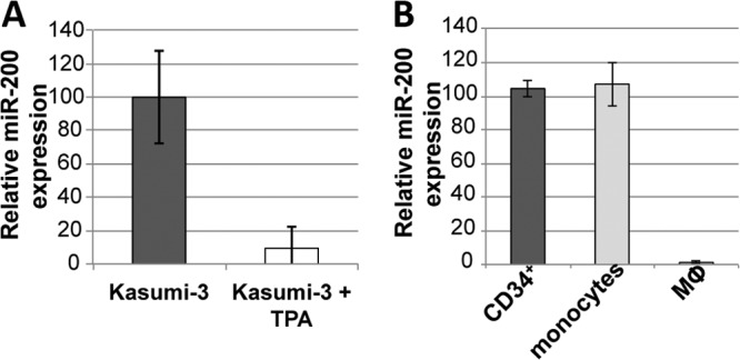 FIG 6