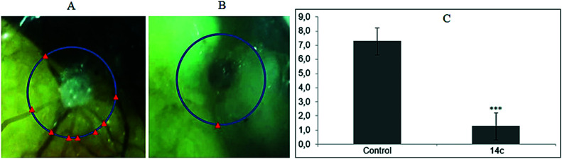 Fig. 8