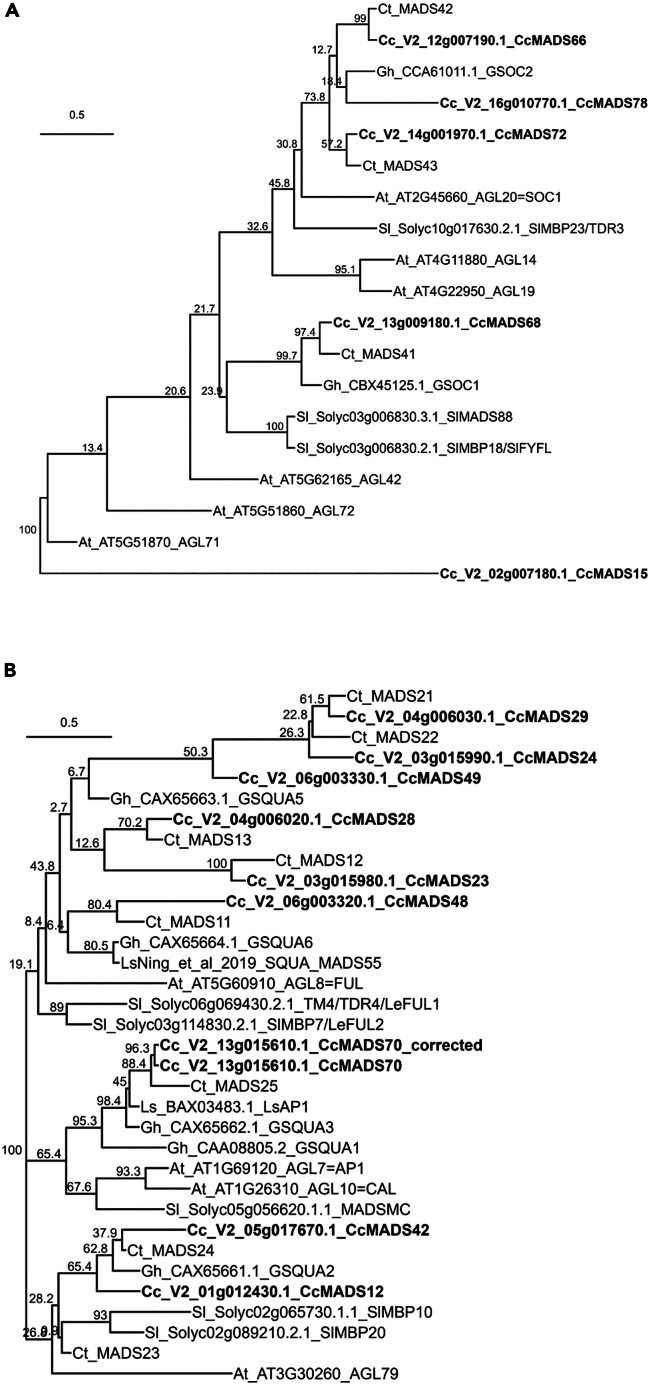 Figure 4