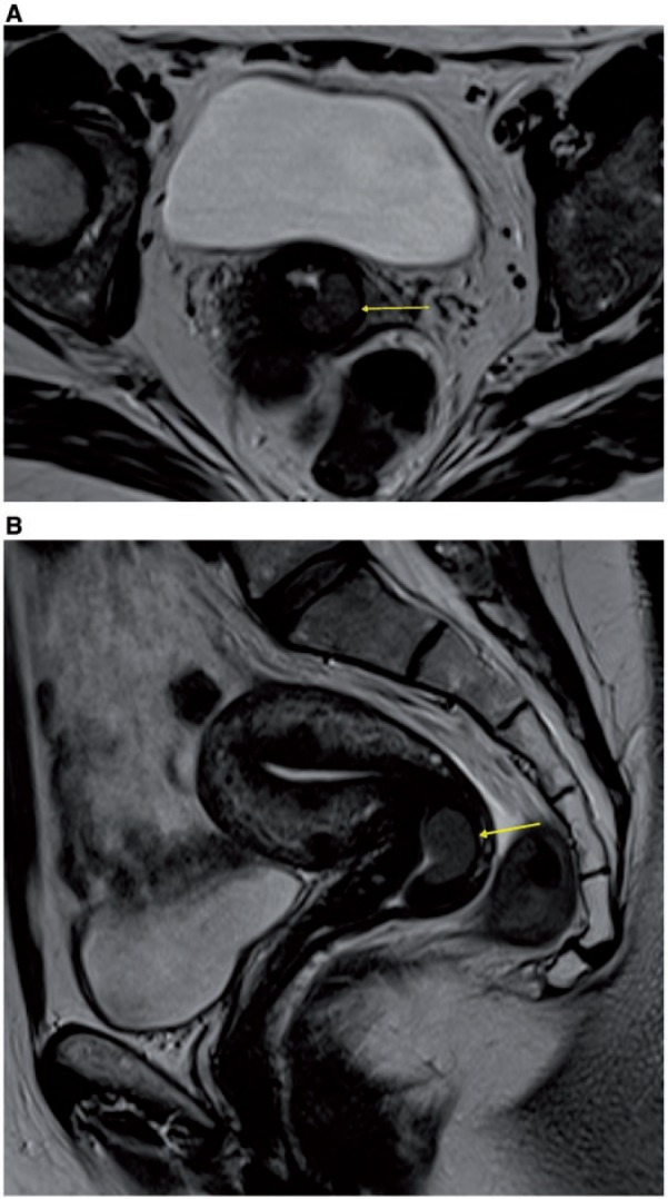 Figure 24