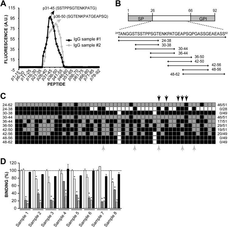 FIG 1