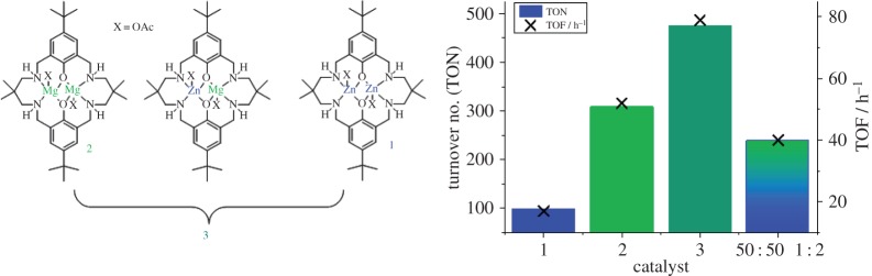 Figure 11.