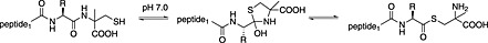 Scheme 12