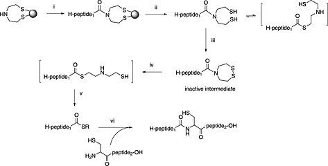 Scheme 11