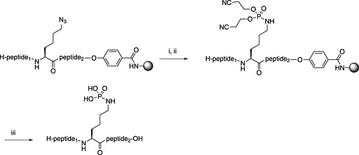 Scheme 5