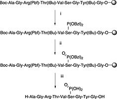 Scheme 4