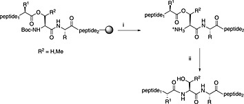 Scheme 3