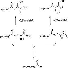 Scheme 10