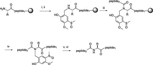 Scheme 2