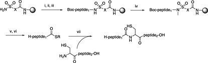 Scheme 8