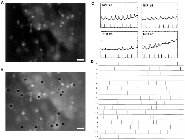 Fig. 7.