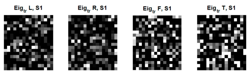 Figure 12