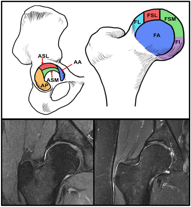 FIGURE 2: