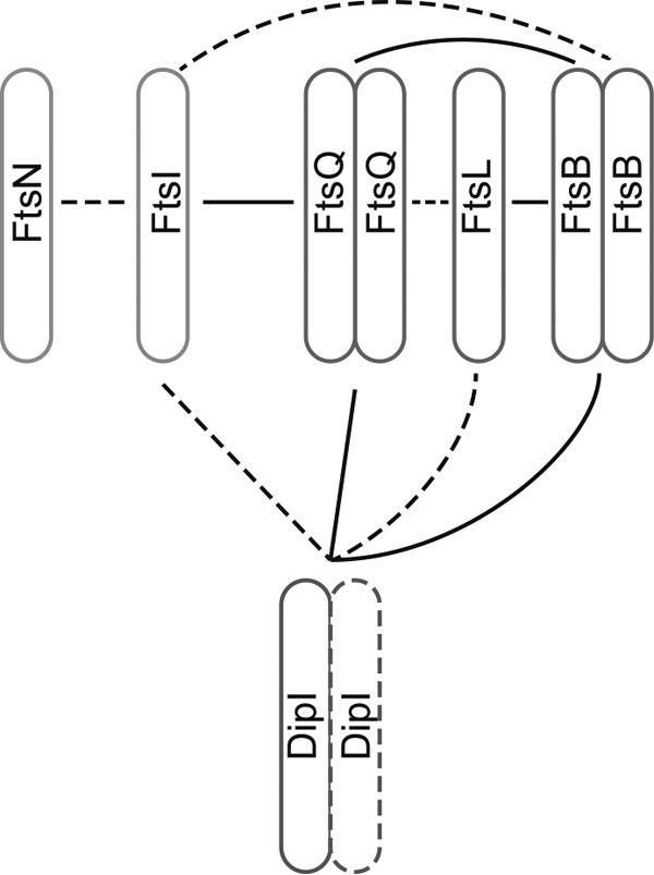 FIG 6