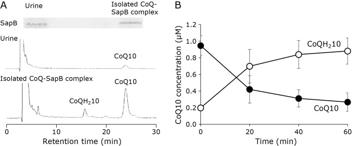 Fig. 6.