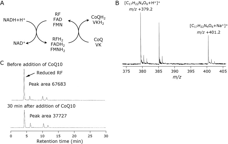 Fig. 5.