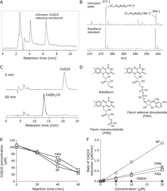 Fig. 3.