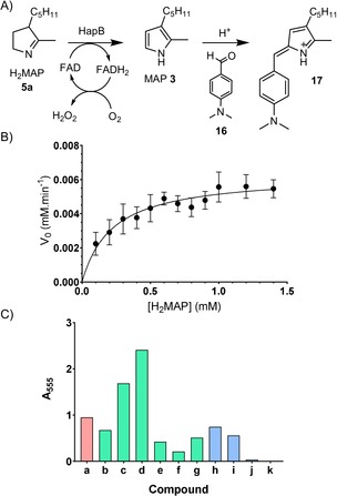 Scheme 4