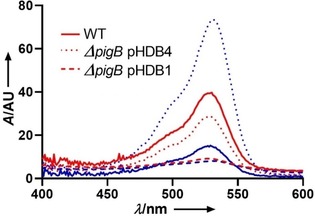 Figure 4