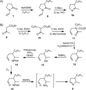 Scheme 2