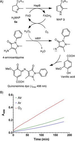 Scheme 5