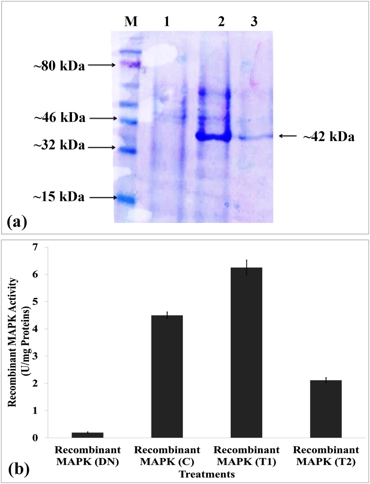 Fig. 5