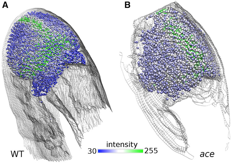 FIGURE 10